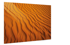 Desert