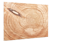 Wooden Log