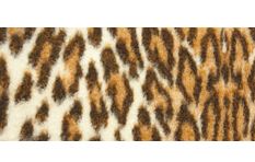 Ambience Leopard