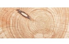 Ambience Wooden Log
